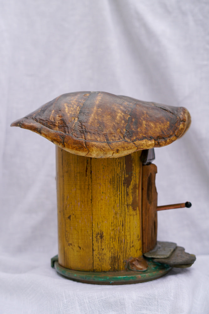 Turtle Shell Birdhouse